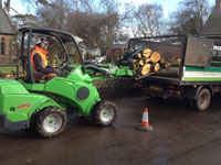 Tree surgeons using Avant tool attachments